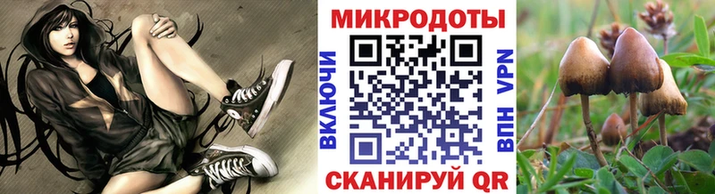 Галлюциногенные грибы Cubensis Вилюйск