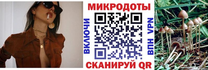 omg вход  где купить   Вилюйск  Псилоцибиновые грибы Cubensis 